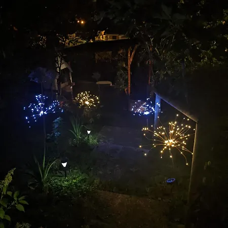 Nel giardino di Oz-2